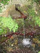 Fontaine Nocario Castagniccia Orezza Haute Corse Juillet 2005. 
