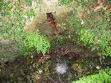 Fontaine Nocario Castagniccia Orezza Haute Corse Juillet 2005. 